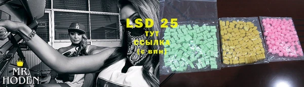 PSILOCYBIN Баксан
