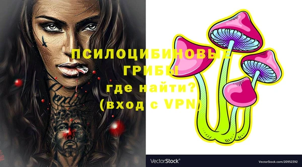PSILOCYBIN Баксан