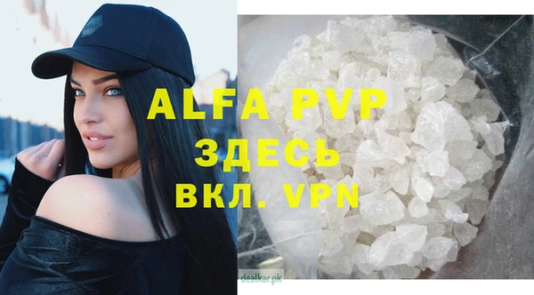 PSILOCYBIN Баксан