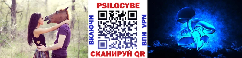 Галлюциногенные грибы Psilocybine cubensis  Елизово 