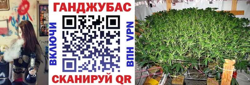 Шишки марихуана конопля  наркота  Елизово 